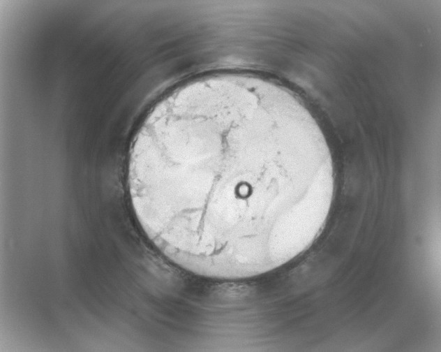 X0000068901314200605192150