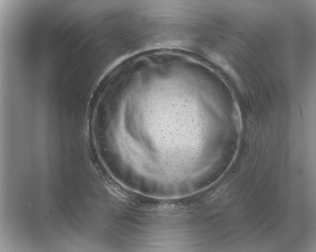 X0000068901316200605192150