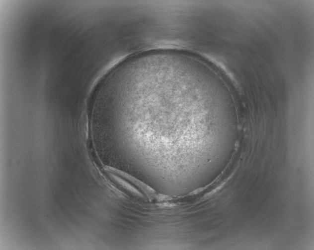 X0000068901317200605192150