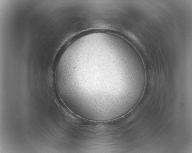 X0000068901318200605192150