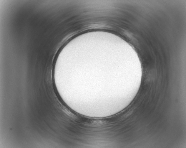 X0000068901322200605192151