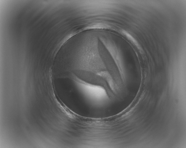 X0000068901329200605192151