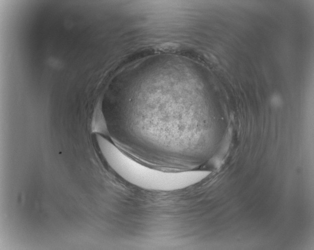 X0000068901345200605192150