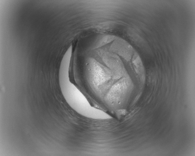 X0000068901346200605192150