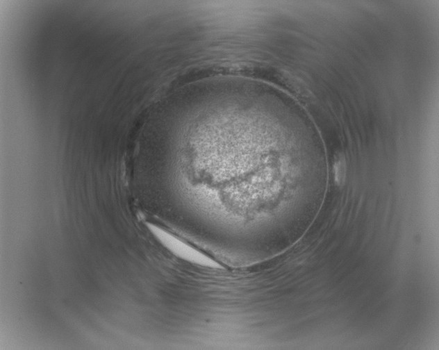 X0000068901347200605192150