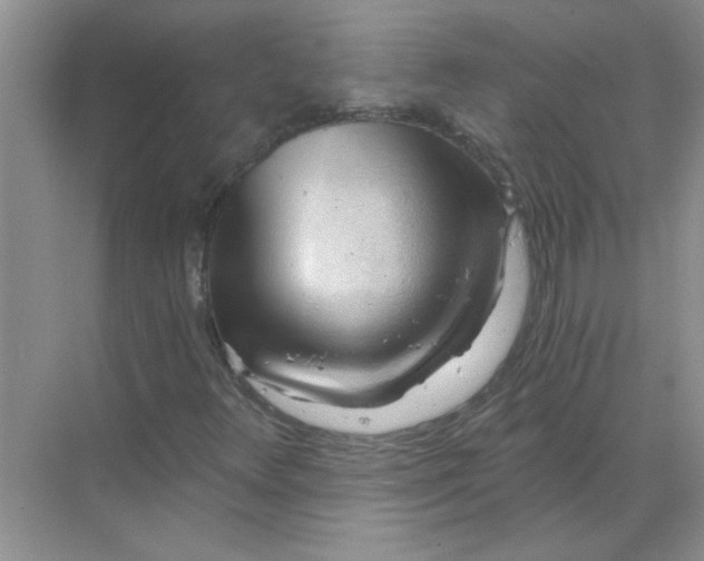 X0000068901348200605192150