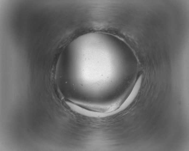 X0000068901349200605192150