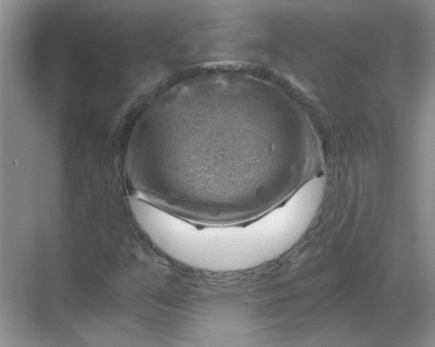 X0000068901351200605192150