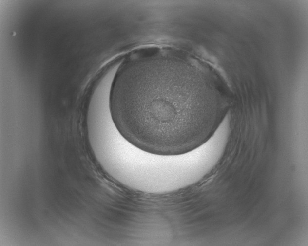 X0000068901352200605192150