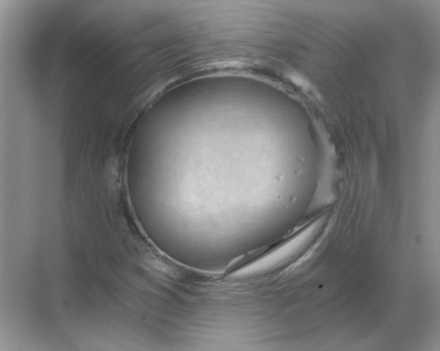 X0000068901353200605192150