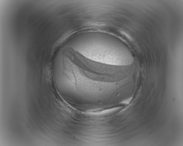 X0000068901354200605192150