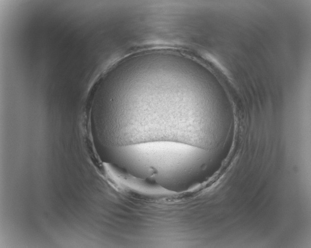 X0000068901357200605192150