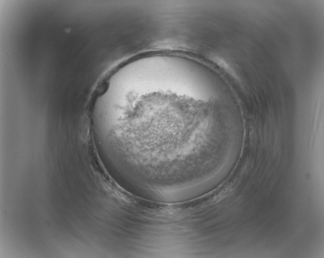 X0000068901358200605192150