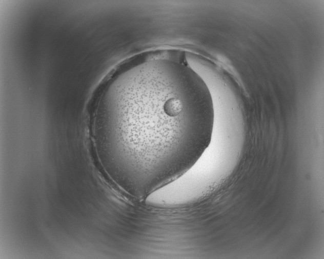 X0000068901360200605192150