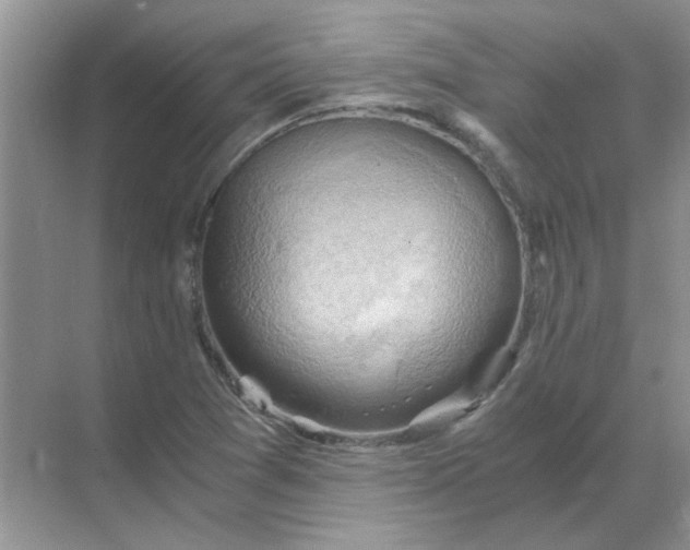 X0000068901361200605192150