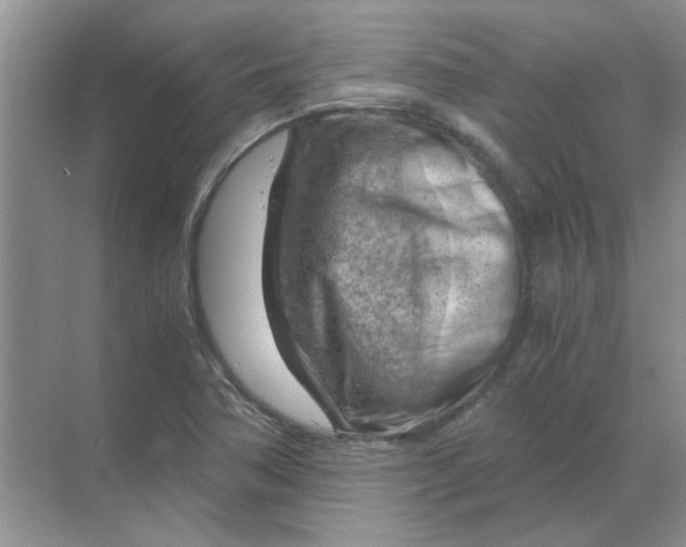 X0000068901362200605192150