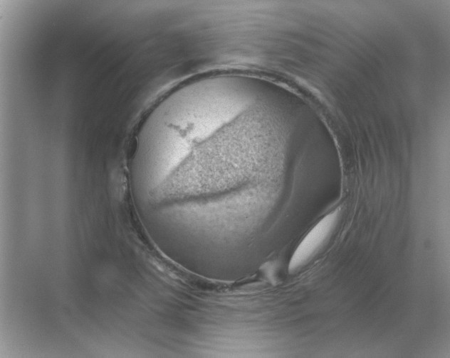 X0000068901363200605192150