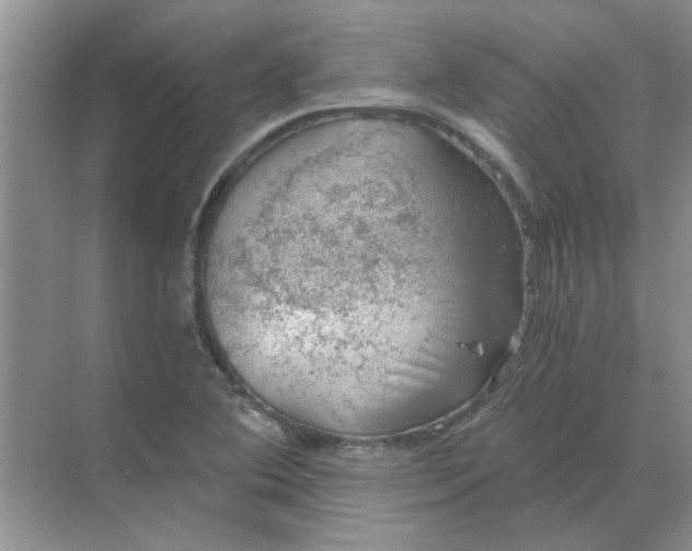 X0000068901364200605192150