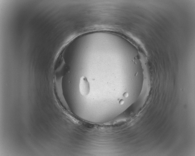 X0000068901365200605192150