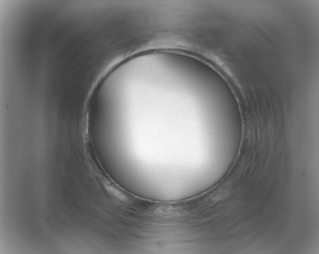 X0000068901366200605192150