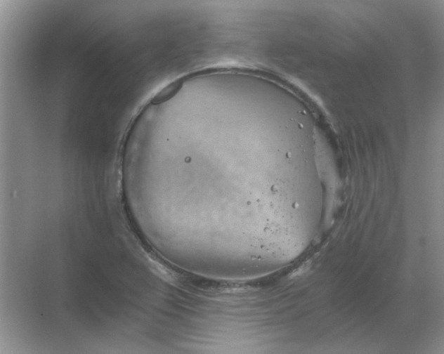 X0000068901367200605192150