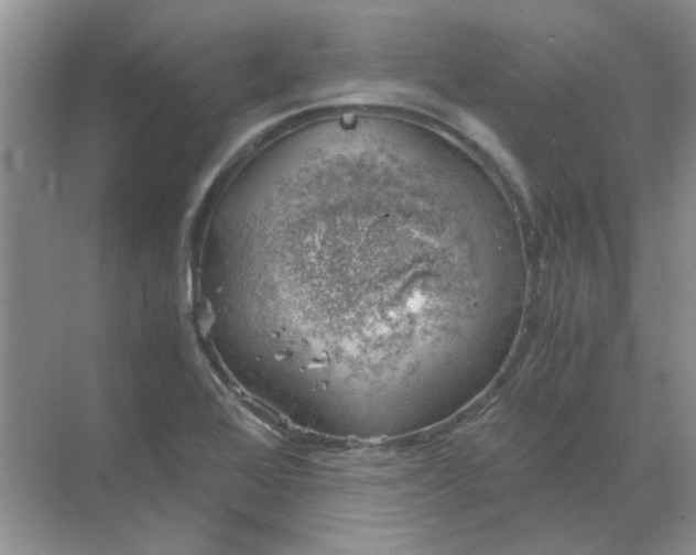 X0000068901368200605192150