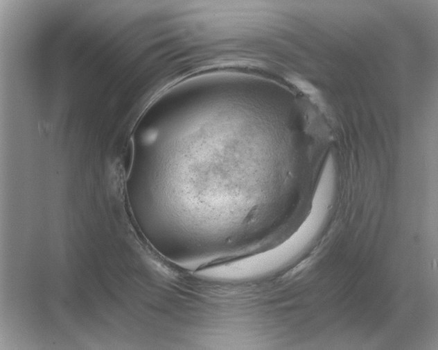 X0000068901369200605192150