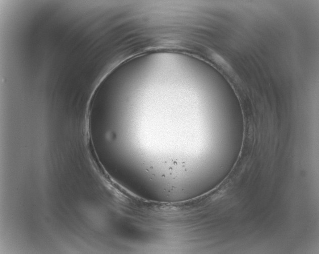 X0000068901370200605192150