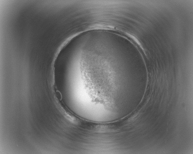 X0000068901371200605192150