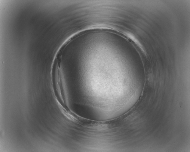 X0000068901372200605192150