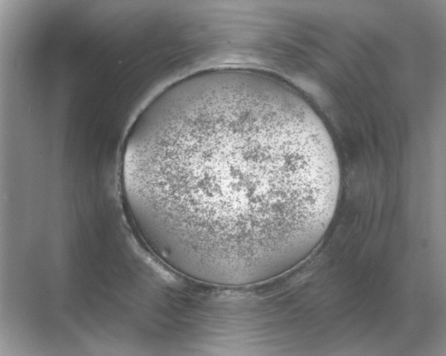 X0000068901374200605192150