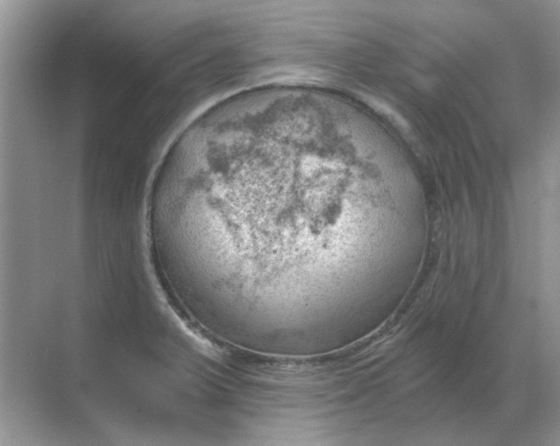 X0000068901375200605192150