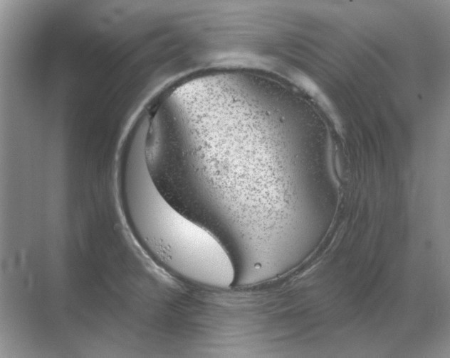 X0000068901376200605192150