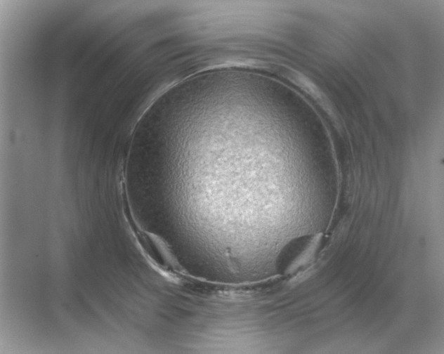 X0000068901377200605192150