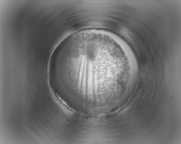 X0000068901378200605192150