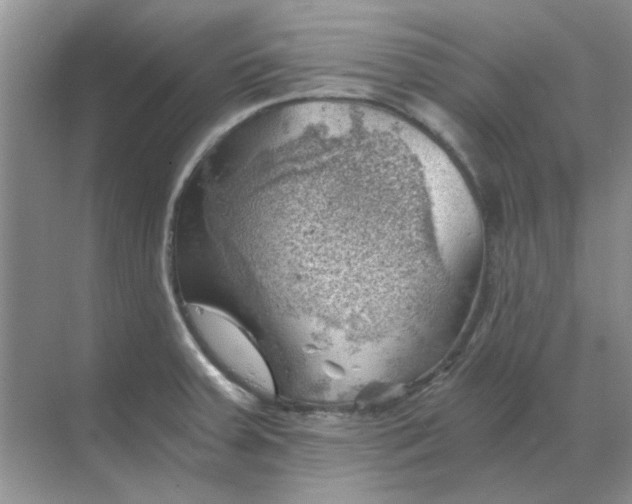 X0000068901379200605192150