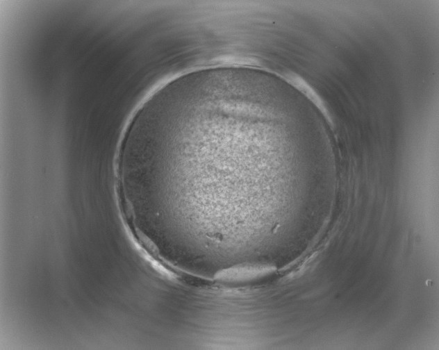 X0000068901381200605192150