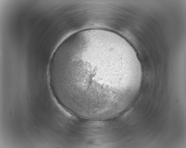 X0000068901382200605192149