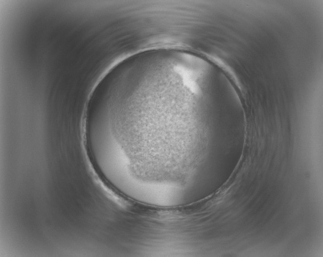 X0000068901383200605192149