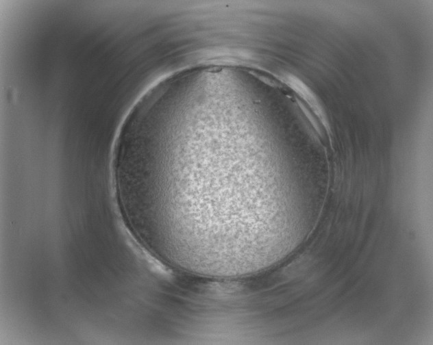 X0000068901384200605192149