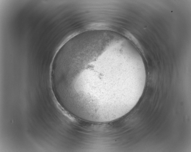 X0000068901386200605192149