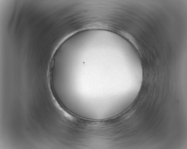 X0000068901387200605192149