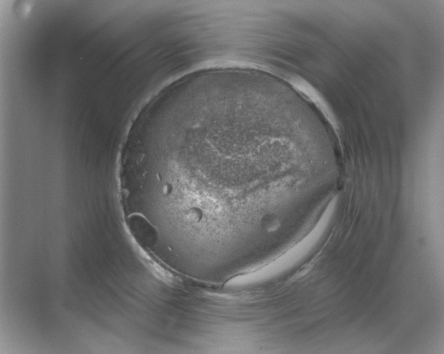 X0000068901388200605192149