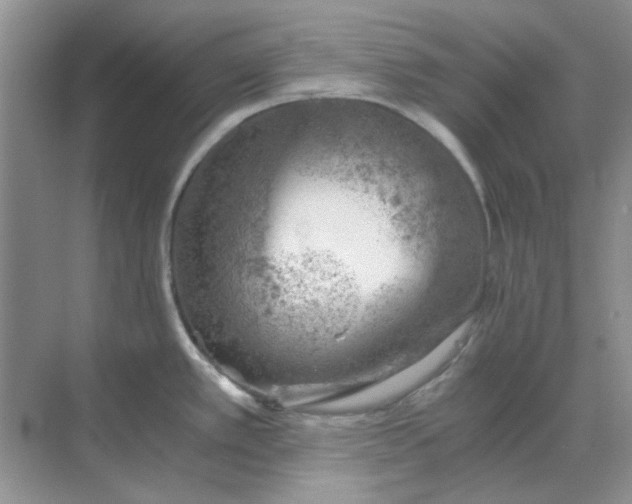 X0000068901389200605192149