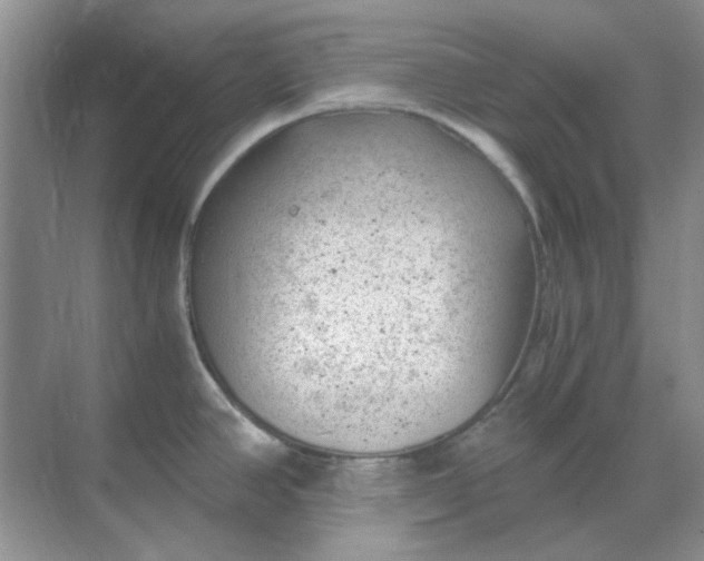 X0000068901390200605192149