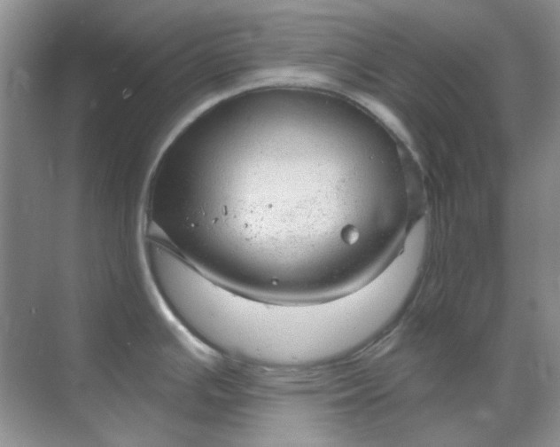 X0000068901391200605192149