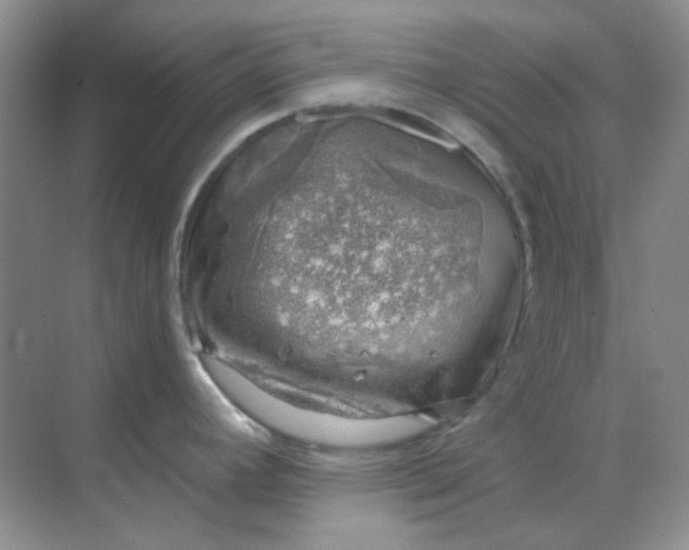 X0000068901392200605192149