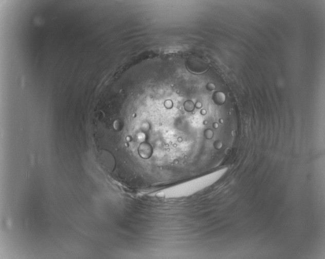 X0000068901393200605192149