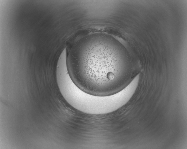 X0000068901394200605192149