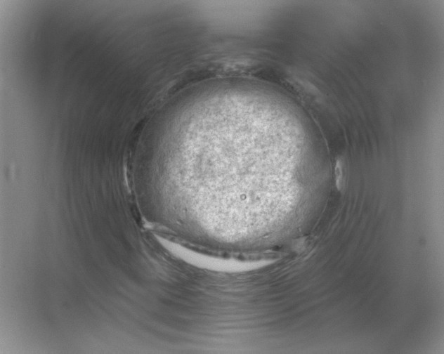 X0000068901395200605192149